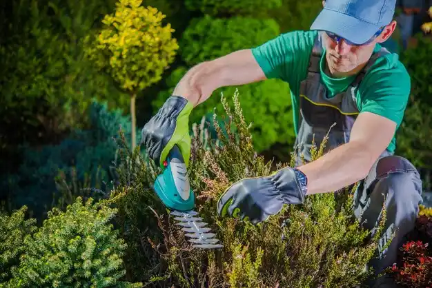 landscaping services Saucier